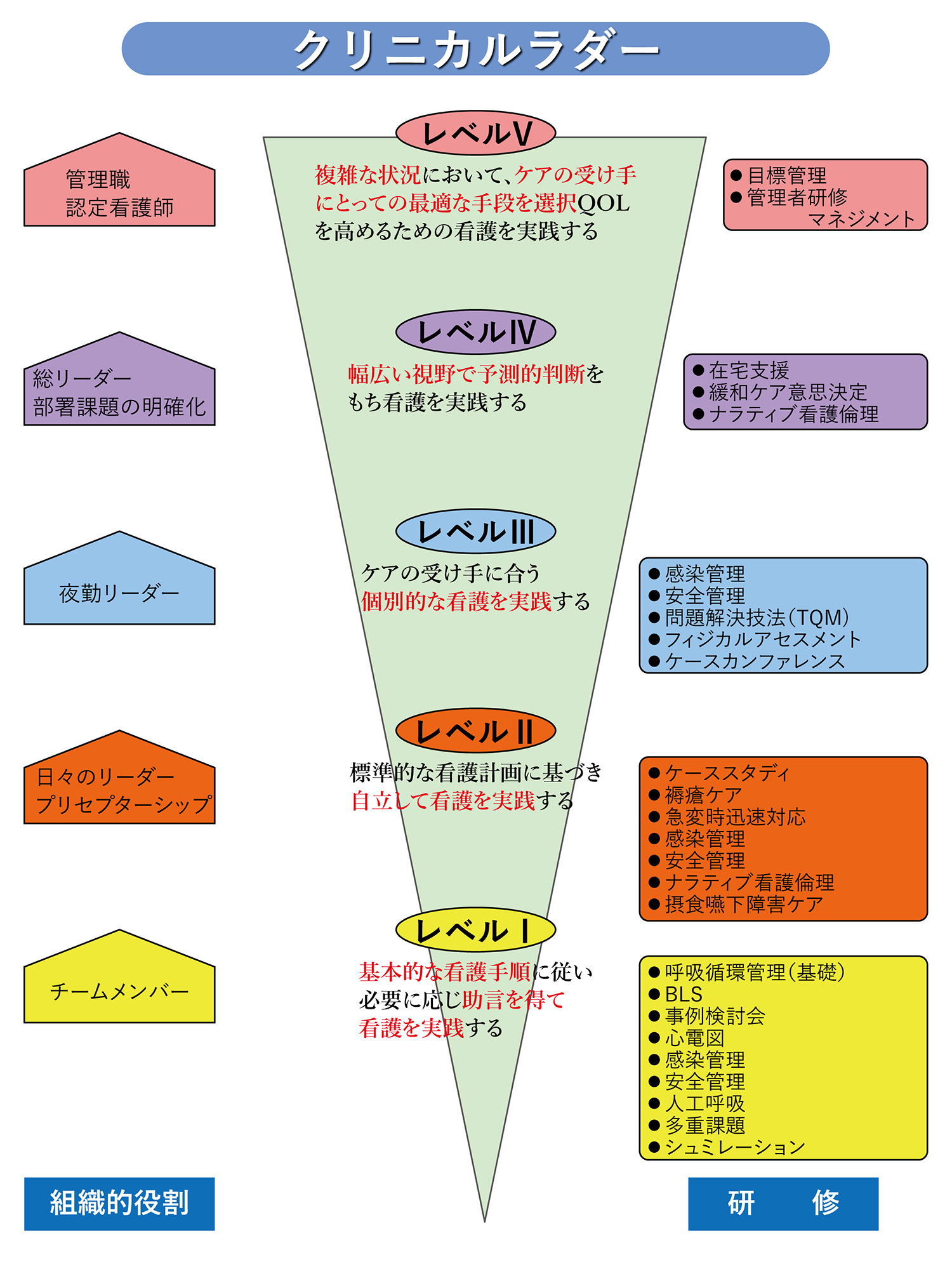 クリニカルラダー